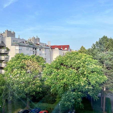 Wilson Paradise Baden Bagian luar foto