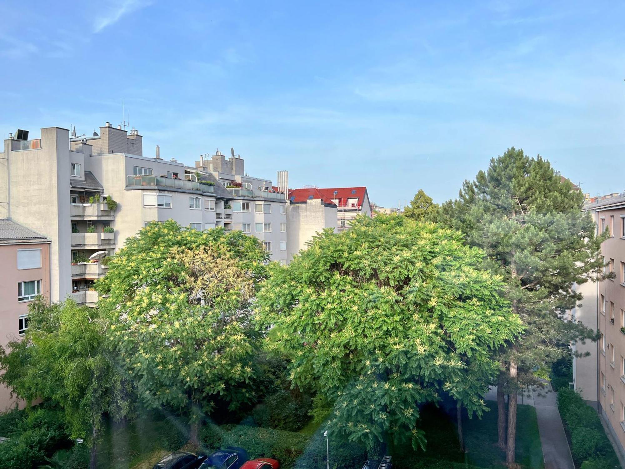 Wilson Paradise Baden Bagian luar foto